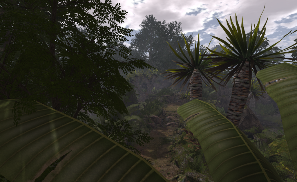 A jungle landscape. The view is from 10-15 feet above the ground. Broad tropical leaves recede from the viewer in the foreground while in the middle distance, spiky palms can be seen in the center. Dense foliage fills the left of the image. In between, a rough path can be made out winding away toward more jungle forrest.